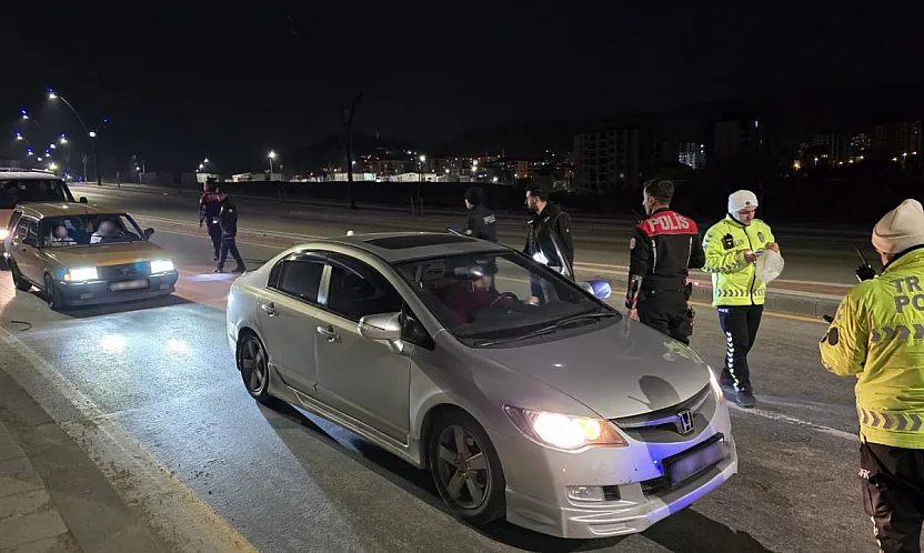 Malatya'da Park ve Mesire Alanlarında Sıkı Kontrol: 56 Araç Denetlendi