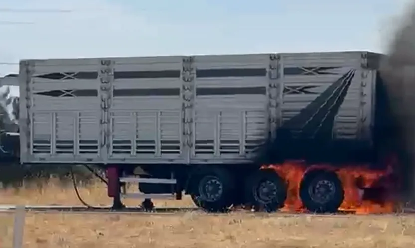 Malatya'da Seyir Halindeki Tır Bir Anda Alevlere Teslim Oldu!