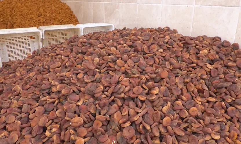 Malatya'da Sezonun İlk Fiyatları Üreticiyi Ve Tüccarı Nasıl Etkiledi?