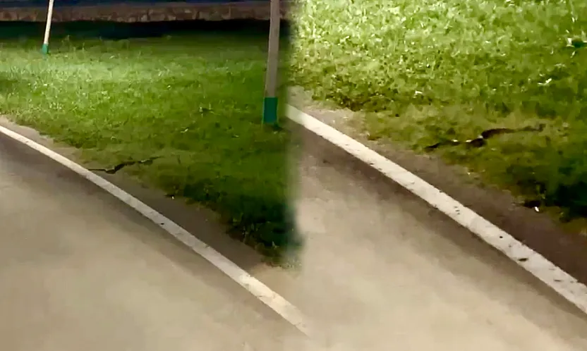 Malatya'da Sıcak Hava Etkisini Gösterdi! Kent Parkında Yılan Görüldü