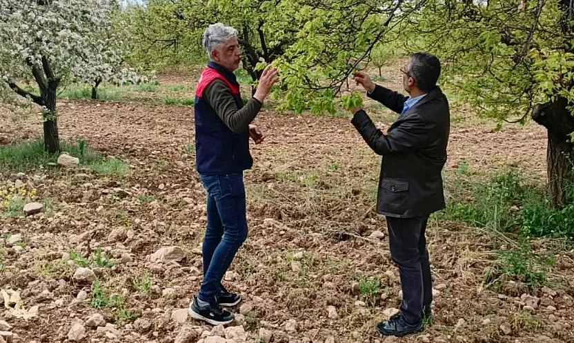 Malatya!da Tarım Alanlarında Hasar Tespit Alarmı! Üreticinin Kaybı Yerinde İnceleniyor