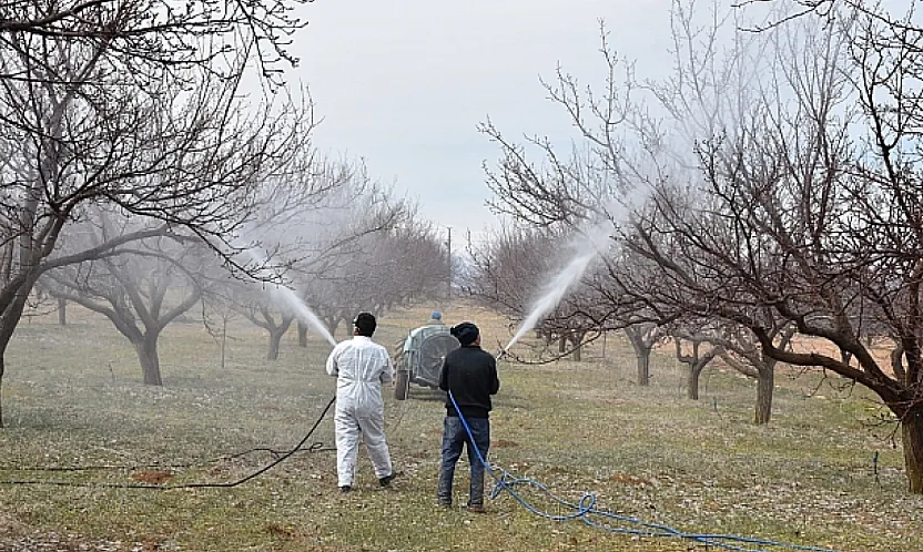 Malatya'da Üreticilere Kritik Uyarı: Verim Kaybını Önlemek İçin İlaçlama Şart