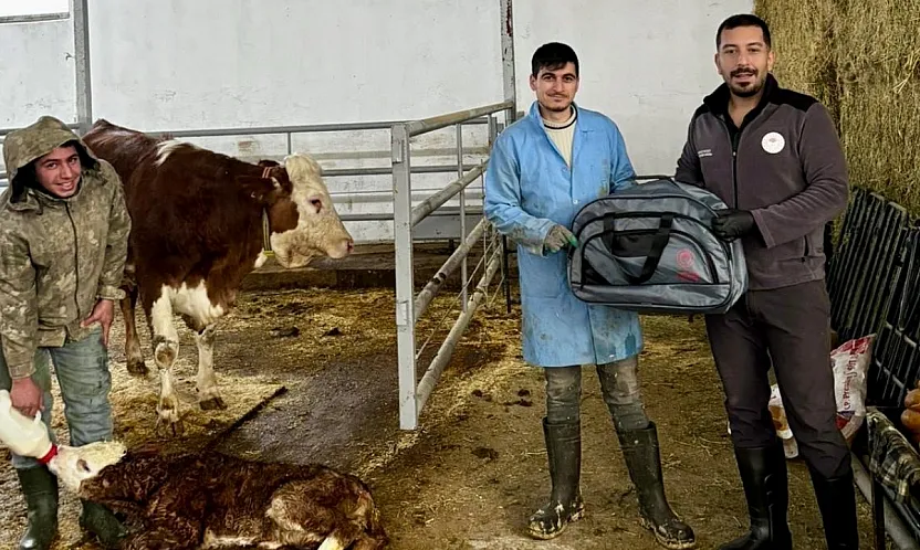 Malatya'da 'Yaşasın Buzağılar' Projesi Hayata Geçirildi!