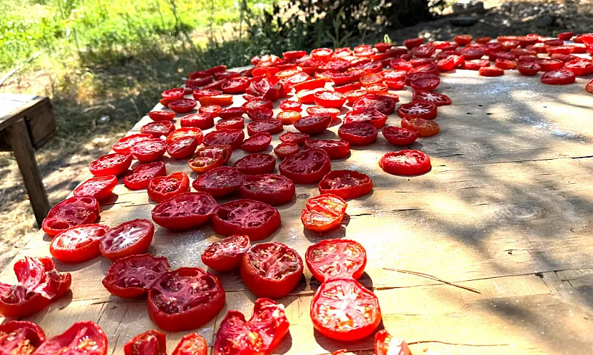 Malatya'da Yazın Bereketi Kışa Hazırlanıyor!