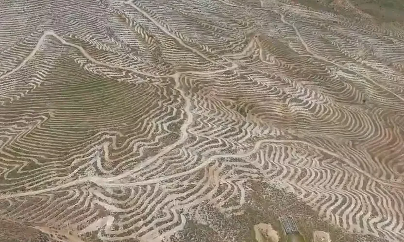 Malatya'da Yeşil Vatan Hamlesi! Doğanşehir Dağlarında Dönüşüm