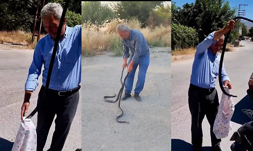 Malatya'da 'Yılan Savar Muhtar' Bu Kez İki Dev Kara Yılanını Yakaladı!