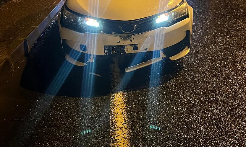 Malatya'da Yola İnen Kurt Kazaya Sebep Oldu! Araç Kullanılamaz Hale Geldi