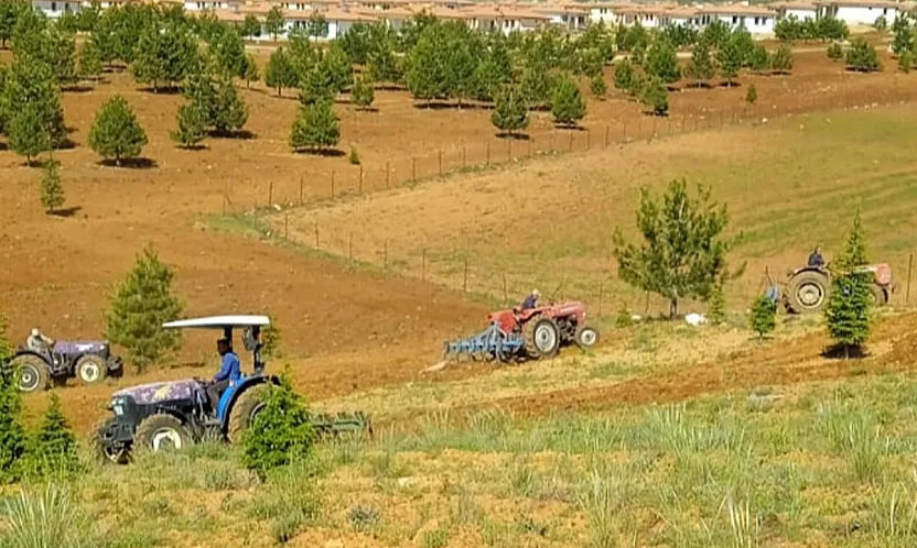Malatya Doğanşehir'de Mezarlıkta İmece Çalışması!