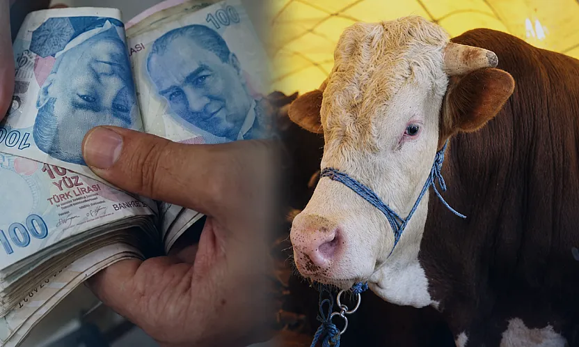 Malatya Hayvan Pazarında Uyarı! Sahte Ödeme ve Hasta Hayvan Riskine Dikkat