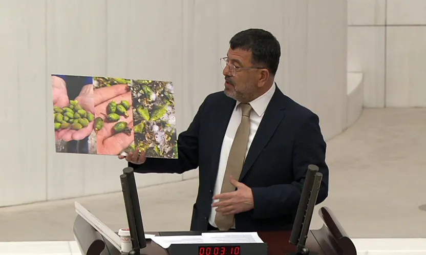 Malatya Kayısısında Dolu Felaketi! Veli Ağbaba Meclis'te Fotoğraflarla İsyan Etti