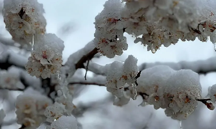 Meteoroloji'den Malatya İçin Uyarı! Cumartesi Gecesi Sıcaklıklar Eksinin Altına Düşecek
