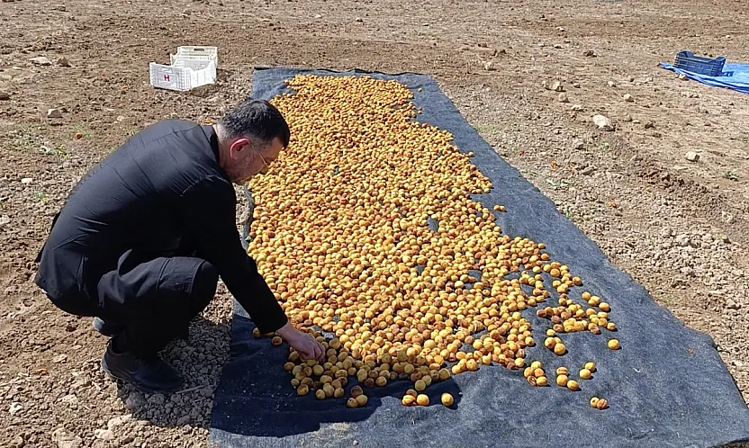 Milletvekili Ağbaba Sel Bölgesinde İncelemelerde Bulundu!