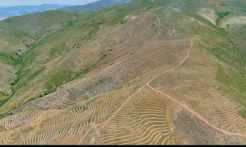 Pütürge'de Geleceğe Nefes! Dev Ağaçlandırma Çalışması Sürüyor