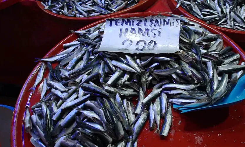 Sezonun Balıkları Tezgahlarda Vatandaşları Bekliyor