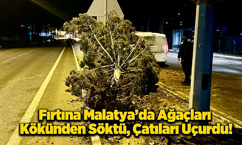 Şiddetli Fırtına Malatya'yı Etkisi Altına Aldı!: Belediye İşçisi Yaralı