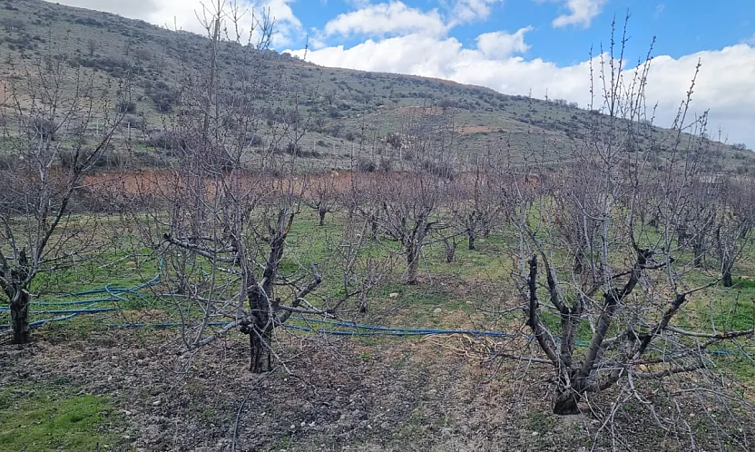 Tarım Arazileri İmara Açıldı! Mollakasım Mahallesi Ayağa Kalktı!