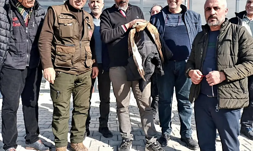 Yeşilyurt'ta Kanadı Kırık Kızıl Şahin Vatandaşların Duyarlılığıyla Hayata Tutundu